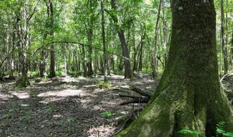Highway 112, Abbeville, GA 31001