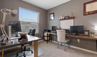 355 MANGROVE SHADE Cir, Apollo Beach, FL 33572