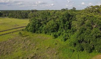 13224 SW 75TH Ter, Archer, FL 32618