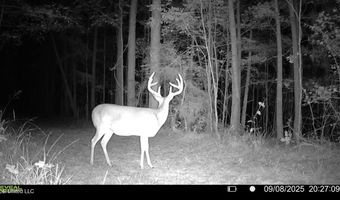 1 Champion Hill Rd, Bolton, MS 39041