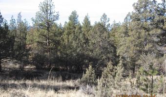 Lot 7 Warbler Drive, Bonanza, OR 97623