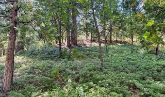 1647 Gertrude Way, Arnold, CA 95223