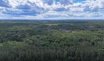 5 6 Acres 16th Ave Lot 3, Arkdale, WI 54613