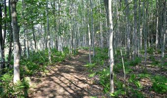 9537 LAKEVIEW Rd, Alanson, MI 49706
