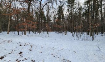 L59 Badger Court lot 59, Arkdale, WI 54613