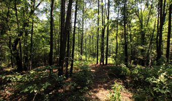 000 Sorrell Rd, Benton, AR 72015