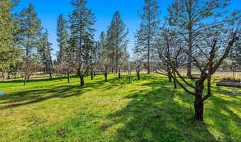 701 McCaffery Rd, Bigfork, MT 59911