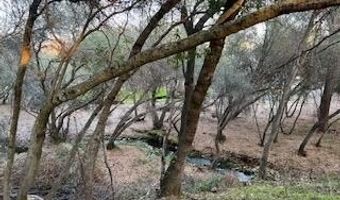 393 Blair Mine, Angels Camp, CA 95222