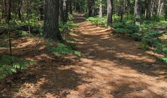 x Franklin Road, Alger, MI 48610