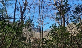 Lot 2 Calvin Cove 2, Almond, NC 28702