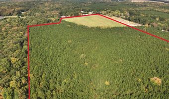 RT 317, Georgetown, DE 19947