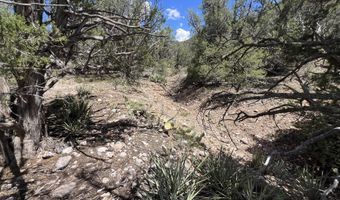 109 Of Twin Fawn Ln, Ash Fork, AZ 86320