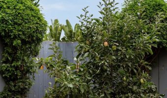 1004 California St, Oceanside, CA 92054