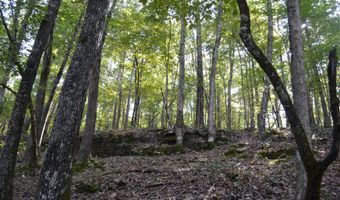 000 Hwy 14, Ava, MO 65608