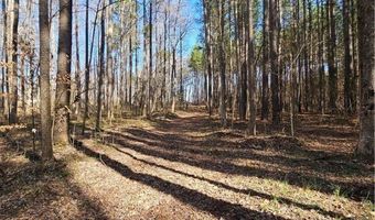 13 Acres Pridesville Rd, Amelia, VA 23002