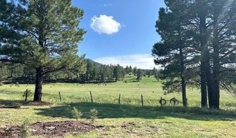 14 County Road 2117, Alpine, AZ 85920