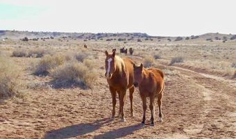 15 Co Rd N7284 40 Acres, Chambers, AZ 86502