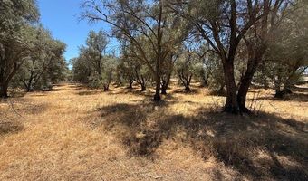 2804 S Grade Rd, Alpine, CA 91901