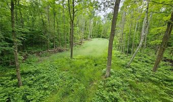 0000 280th Pl, Aitkin, MN 56431