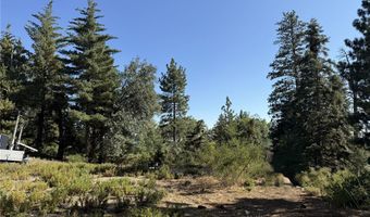 0 Ca-38, Angelus Oaks, CA 92305