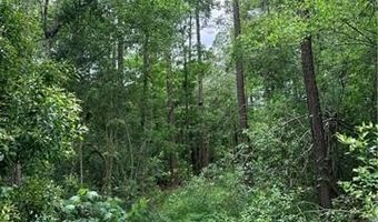 25332 HWY 435 Lot 25332, Abita Springs, LA 70420