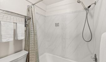 125 E Hyman Ave 1A, Aspen, CO 81611