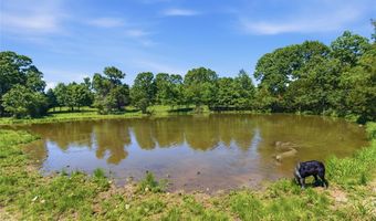 210 County Road 320, Alton, MO 65606
