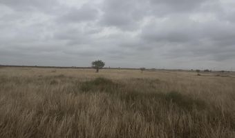 2308 CR 5100, Abernathy, TX 79311