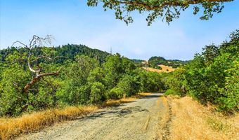 1991 Steelhead Rd, Alderpoint, CA 95511