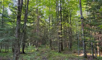 County Road Y, Aniwa, WI 54408