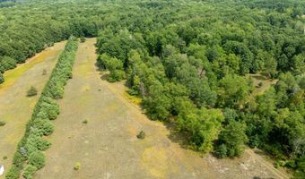 39 Acres N Pingree Rd, Alma, MI 48801