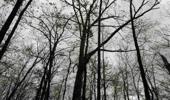 Long Branch Lane, Bee Branch, AR 72013