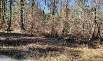 Lot on Spring Hill Rd, Timmonsville, SC 29161