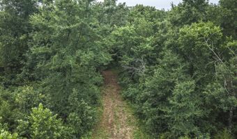 1569 Spider K Rd, Anderson, MO 64831