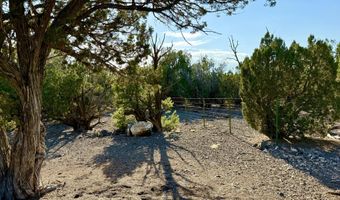 37 Co Rd N8174 10.1 Acres, Concho, AZ 85924