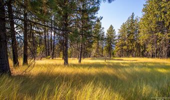 Summitview Dr, Ahsahka, ID 83520