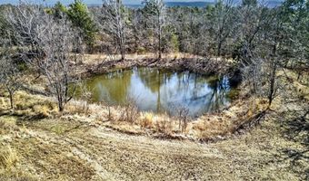 445000 E 1623 Rd, Albion, OK 74521