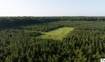 CARPENTER ROAD, Bastrop, LA 71220