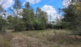 16509 50th Ave, Archer, FL 32618