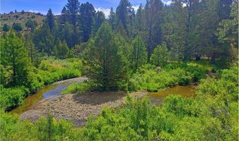 12142 Burns-Izee Rd, Seneca, OR 97873