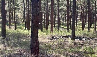 782 Hawks Meadow Dr, Bayfield, CO 81122