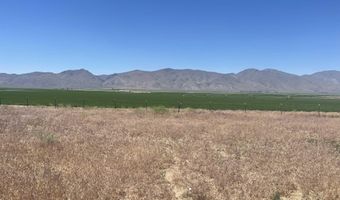 51955 Wilder Creek Rd, Denio, NV 89404