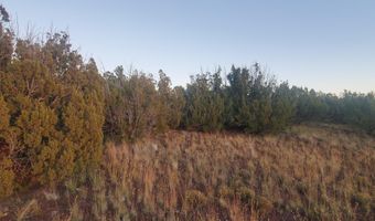 1 COUNTY ROAD N8155, Concho, AZ 85924