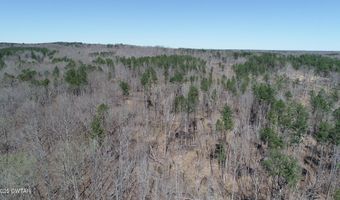 Tract 2 State Route 225, Bethel Springs, TN 38315