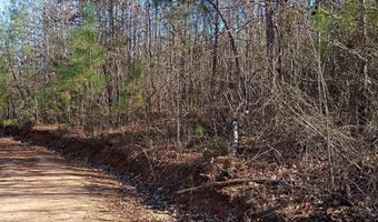 1164 Calvins Rd, Camden, SC 29020