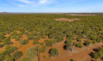 28 CR N8623, Concho, AZ 85924