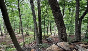TR D-15 DEER PATH Road, Augusta, WV 26704