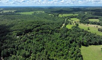 State Highway U, Ava, MO 65608