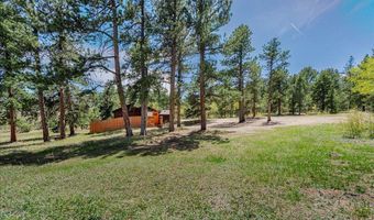 104 County Road 90, Allenspark, CO 80510