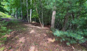 724 Streamside Dr, Arden, NC 28704